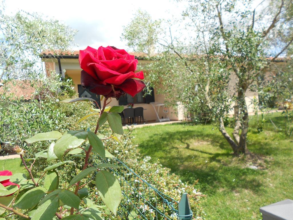 Poggio Degli Olivi Guest House ซาตูร์เนีย ภายนอก รูปภาพ