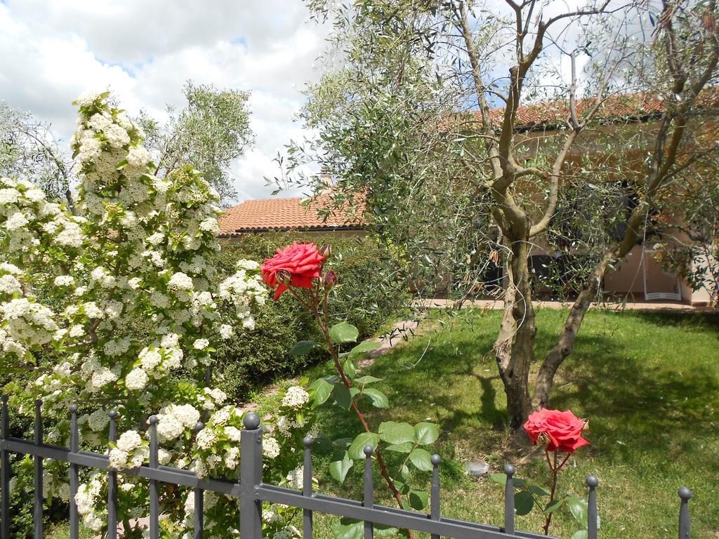 Poggio Degli Olivi Guest House ซาตูร์เนีย ภายนอก รูปภาพ