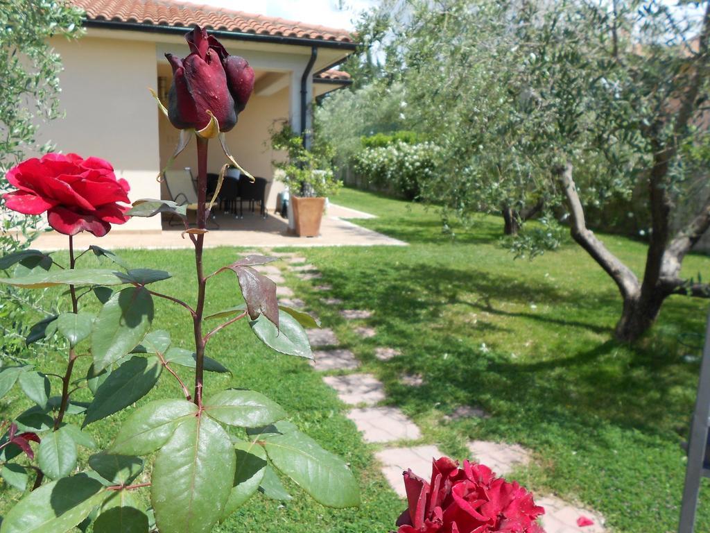 Poggio Degli Olivi Guest House ซาตูร์เนีย ภายนอก รูปภาพ