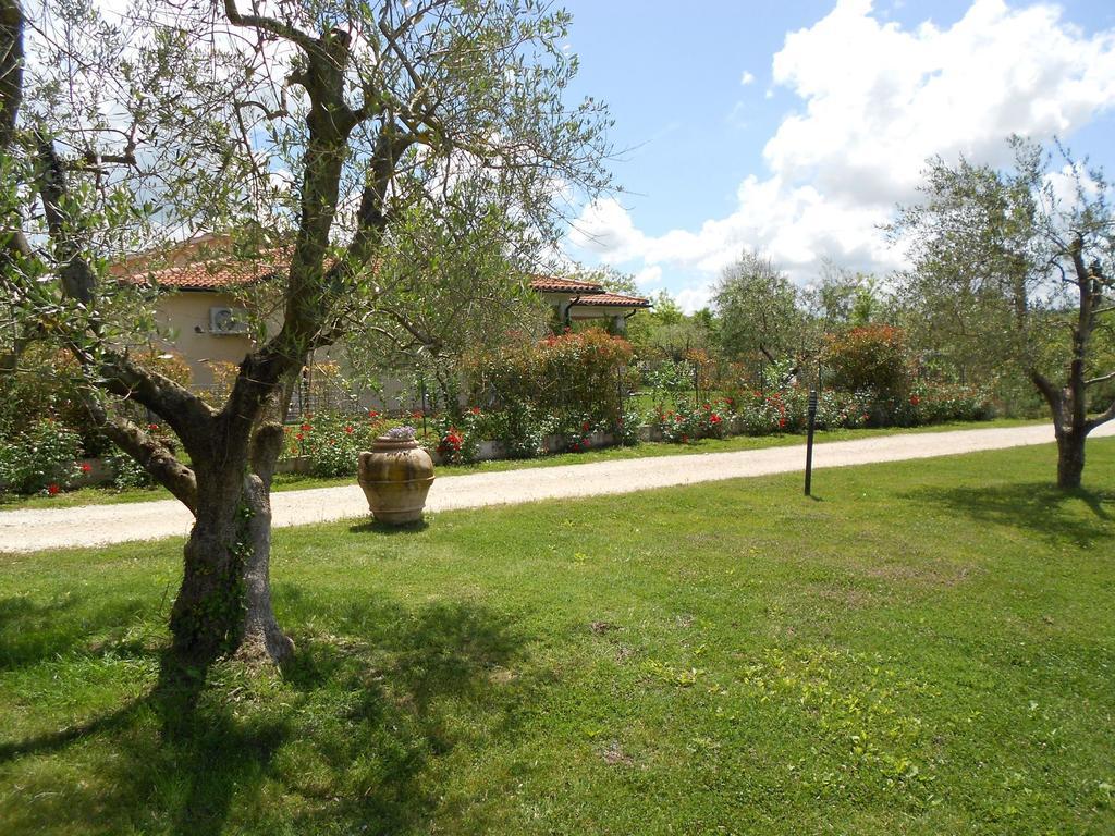 Poggio Degli Olivi Guest House ซาตูร์เนีย ภายนอก รูปภาพ