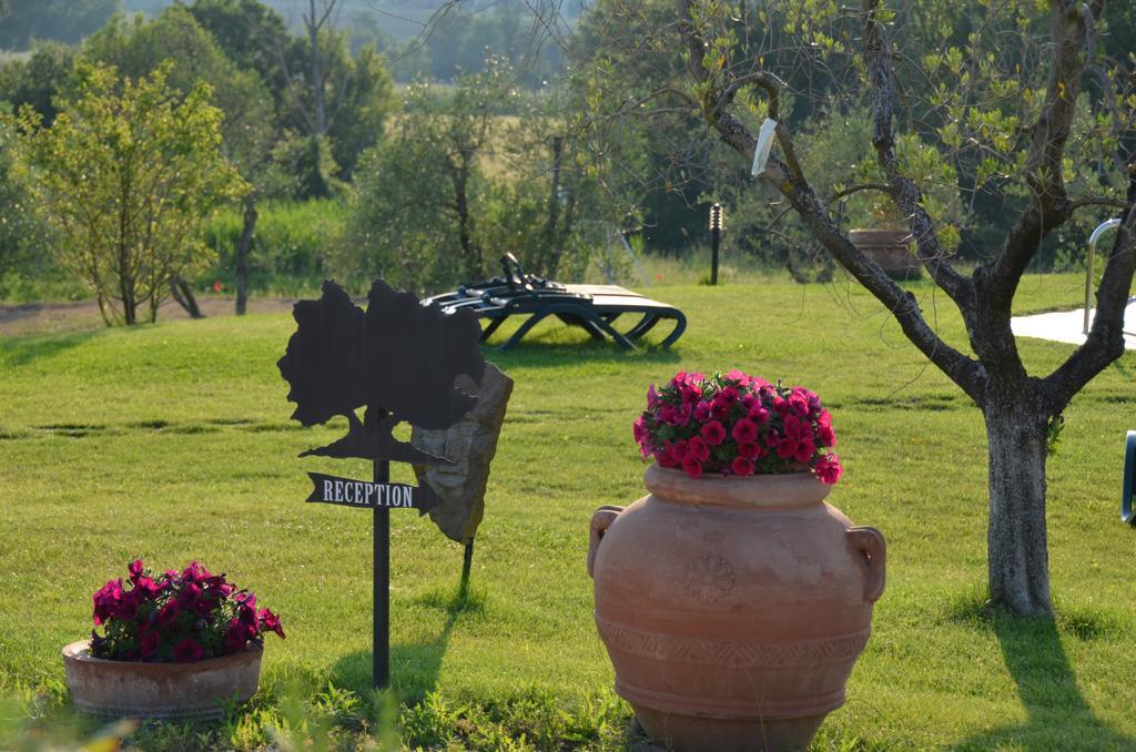 Poggio Degli Olivi Guest House ซาตูร์เนีย ภายนอก รูปภาพ