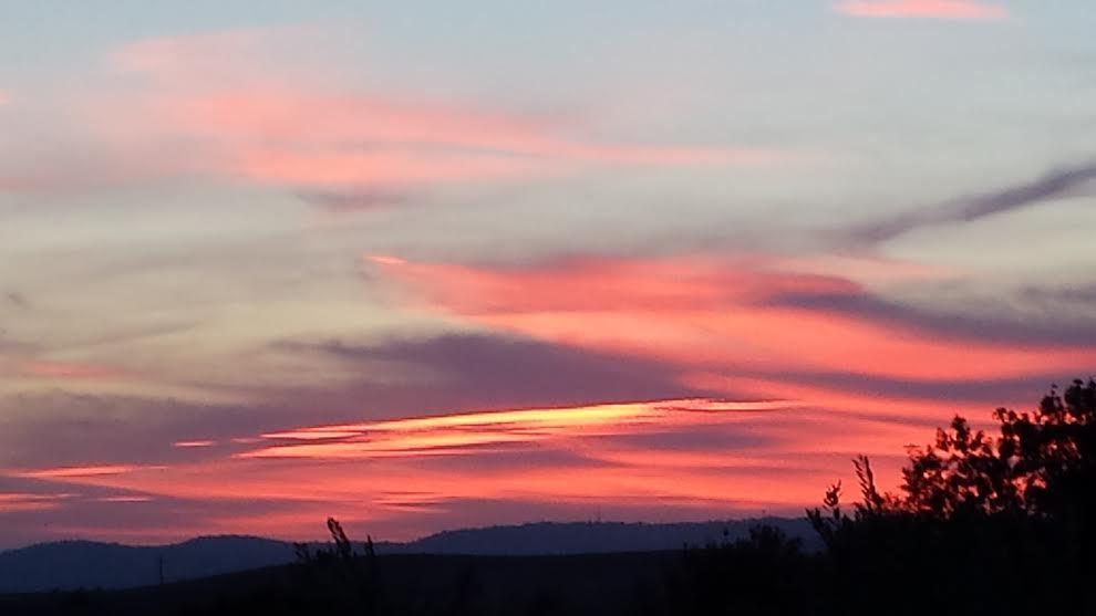 Poggio Degli Olivi Guest House ซาตูร์เนีย ภายนอก รูปภาพ