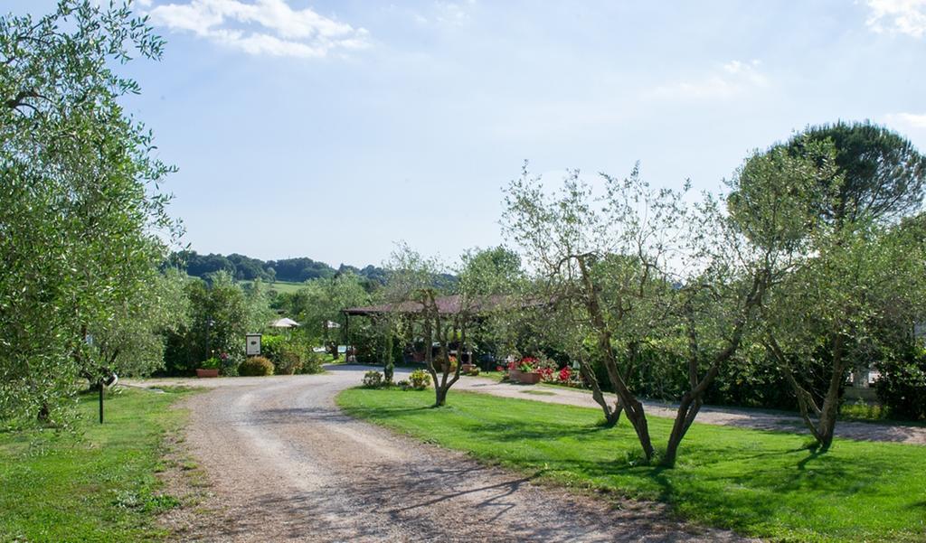 Poggio Degli Olivi Guest House ซาตูร์เนีย ภายนอก รูปภาพ