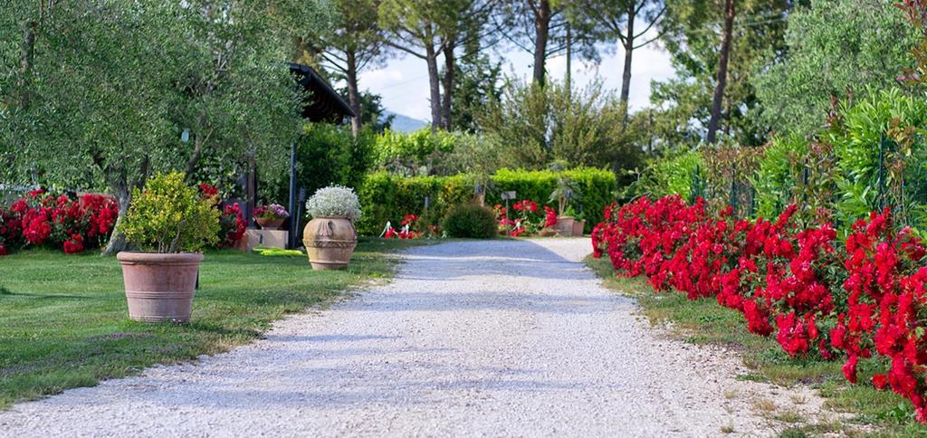 Poggio Degli Olivi Guest House ซาตูร์เนีย ภายนอก รูปภาพ