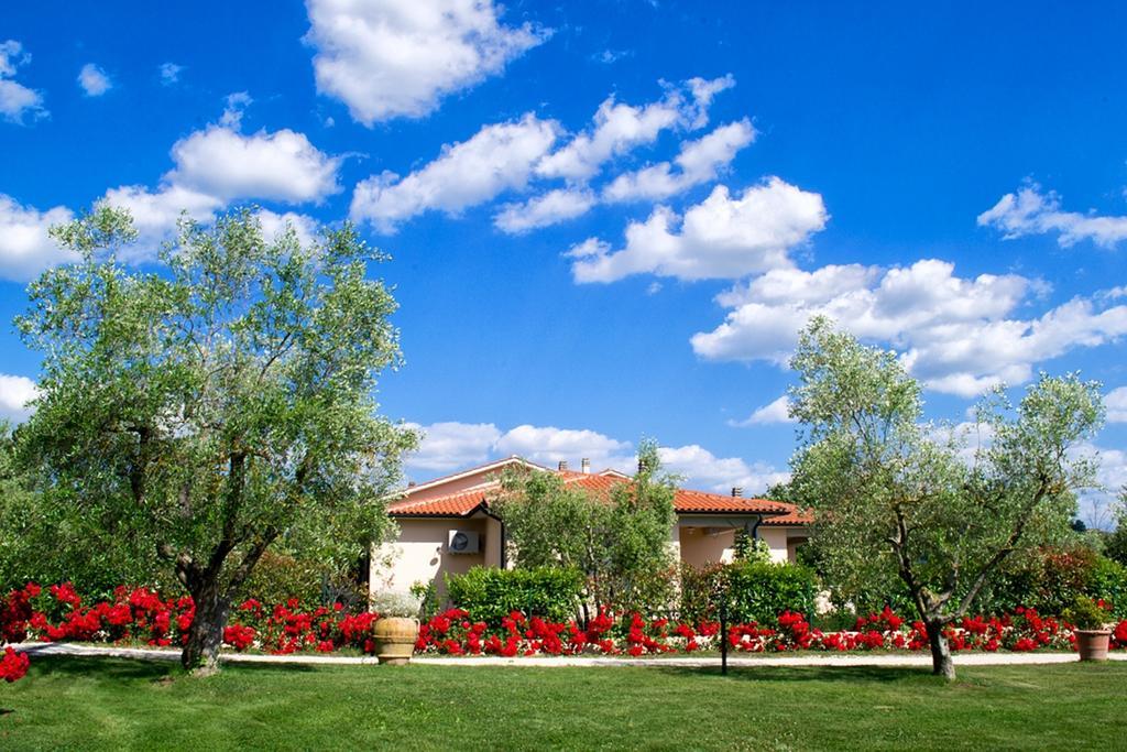 Poggio Degli Olivi Guest House ซาตูร์เนีย ภายนอก รูปภาพ